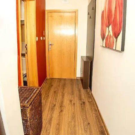 Pacific - 1bd. Apt W/ Terrace, 5mins To Beach Apartment Sunny Beach
